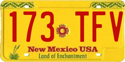 NM license plate 173TFV