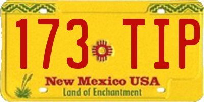 NM license plate 173TIP