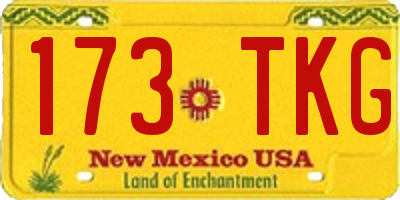 NM license plate 173TKG