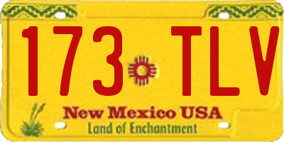 NM license plate 173TLV