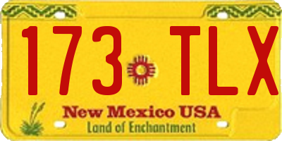 NM license plate 173TLX