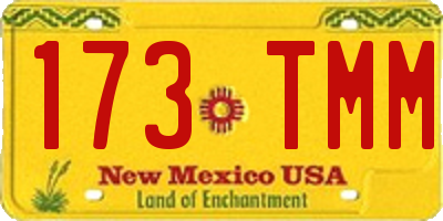 NM license plate 173TMM