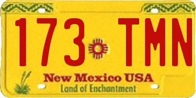 NM license plate 173TMN