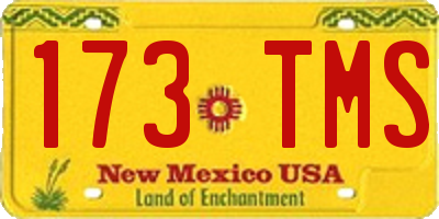 NM license plate 173TMS