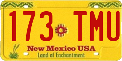 NM license plate 173TMU