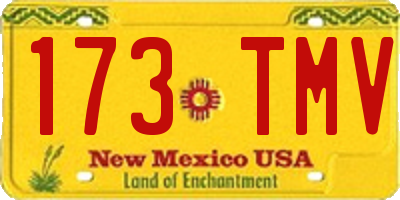 NM license plate 173TMV
