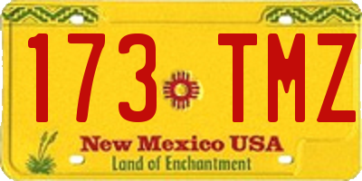 NM license plate 173TMZ