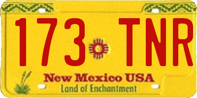 NM license plate 173TNR
