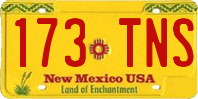 NM license plate 173TNS