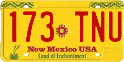 NM license plate 173TNU