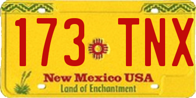 NM license plate 173TNX
