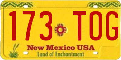 NM license plate 173TOG