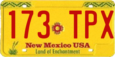 NM license plate 173TPX