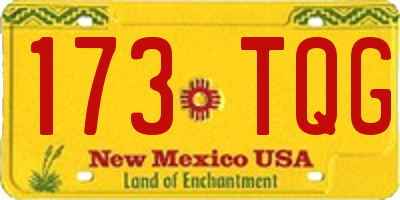 NM license plate 173TQG