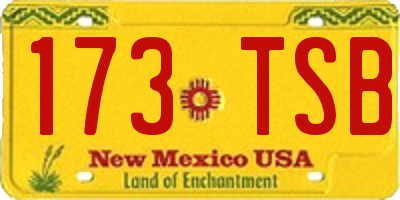 NM license plate 173TSB