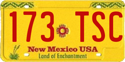 NM license plate 173TSC