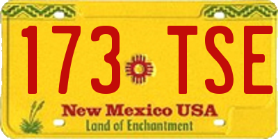 NM license plate 173TSE