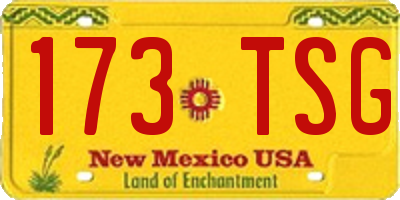NM license plate 173TSG