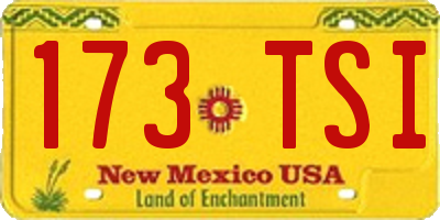 NM license plate 173TSI