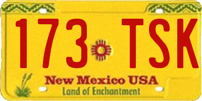 NM license plate 173TSK