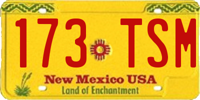 NM license plate 173TSM
