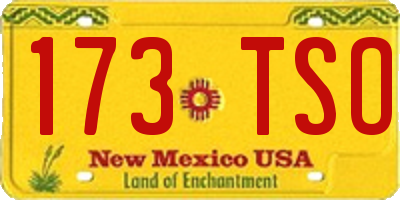 NM license plate 173TSO