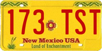 NM license plate 173TST