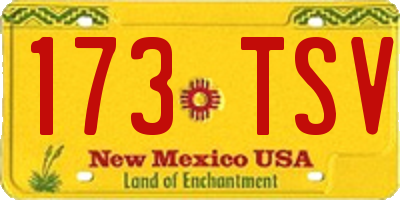 NM license plate 173TSV