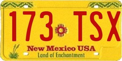 NM license plate 173TSX