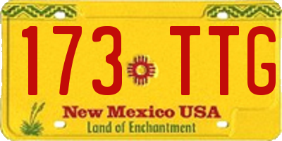 NM license plate 173TTG