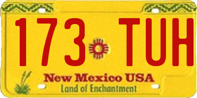 NM license plate 173TUH