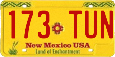 NM license plate 173TUN