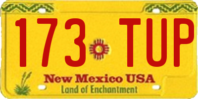 NM license plate 173TUP