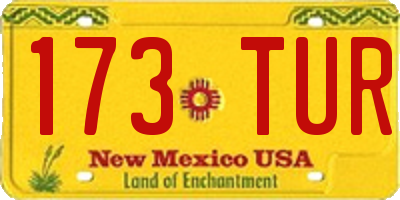 NM license plate 173TUR