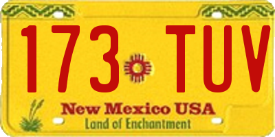 NM license plate 173TUV