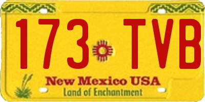 NM license plate 173TVB