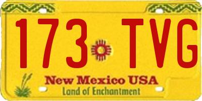 NM license plate 173TVG