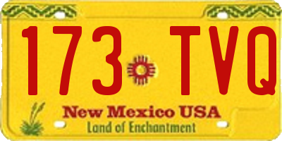 NM license plate 173TVQ