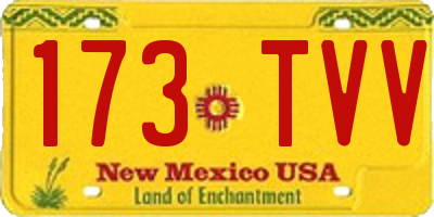 NM license plate 173TVV