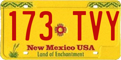 NM license plate 173TVY