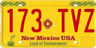 NM license plate 173TVZ
