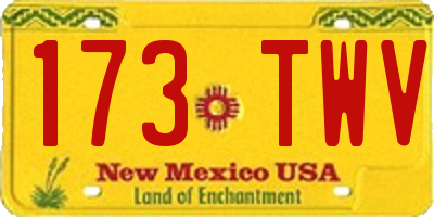 NM license plate 173TWV