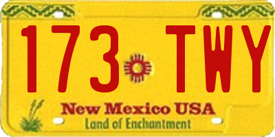 NM license plate 173TWY