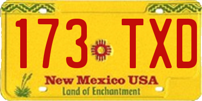 NM license plate 173TXD