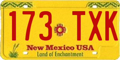 NM license plate 173TXK
