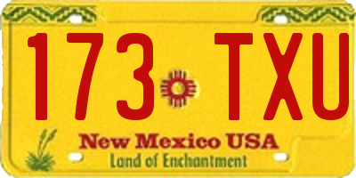 NM license plate 173TXU