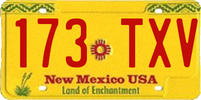 NM license plate 173TXV