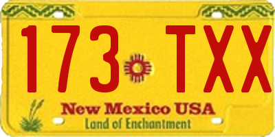 NM license plate 173TXX