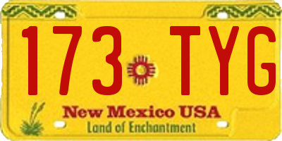 NM license plate 173TYG