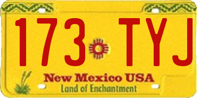 NM license plate 173TYJ